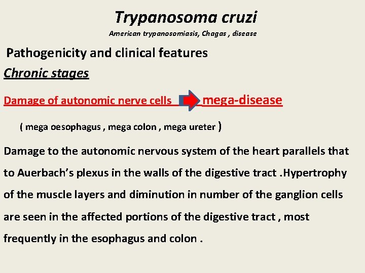 Trypanosoma cruzi American trypanosomiasis, Chagas , disease Pathogenicity and clinical features Chronic stages Damage