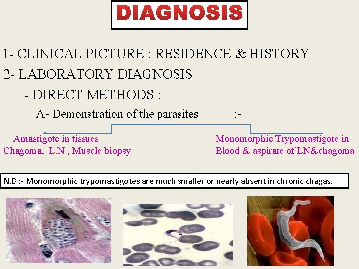 1 - CLINICAL PICTURE : RESIDENCE & HISTORY 2 - LABORATORY DIAGNOSIS - DIRECT