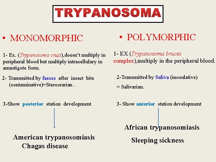  • MONOMORPHIC 1 - Ex. (Trypanosoma cruzi), doesn’t multiply in peripheral blood but