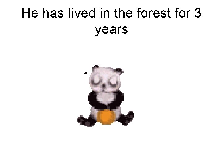 He has lived in the forest for 3 years 
