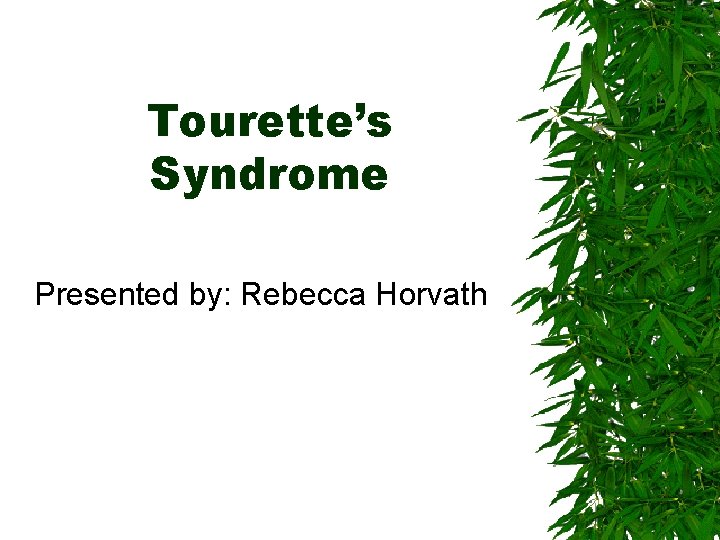 Tourette’s Syndrome Presented by: Rebecca Horvath 