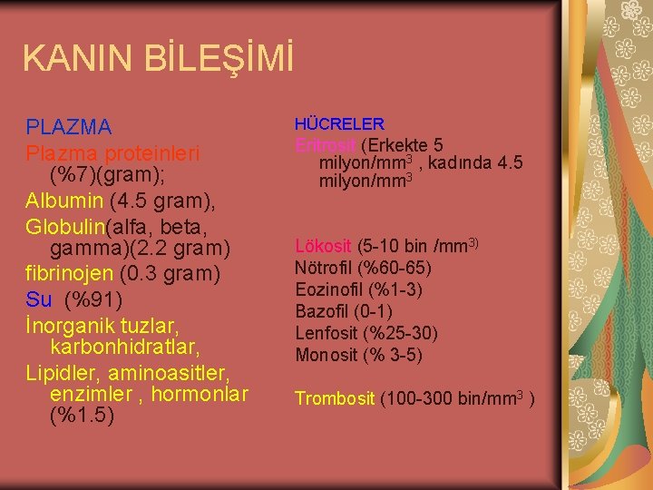 KANIN BİLEŞİMİ PLAZMA Plazma proteinleri (%7)(gram); Albumin (4. 5 gram), Globulin(alfa, beta, gamma)(2. 2