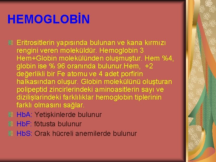 HEMOGLOBİN Eritrositlerin yapısında bulunan ve kana kırmızı rengini veren moleküldür. Hemoglobin 3 Hem+Globin molekülünden