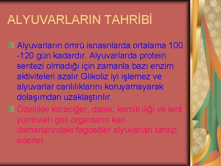 ALYUVARLARIN TAHRİBİ Alyuvarların ömrü isnasnlarda ortalama 100 -120 gün kadardır. Alyuvarlarda protein sentezi olmadığı