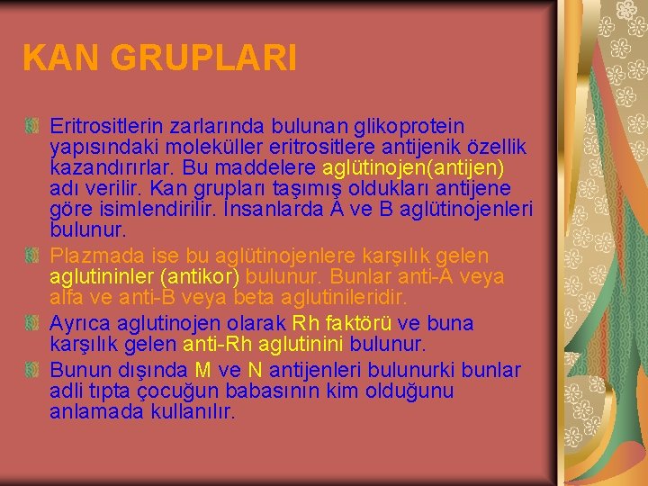 KAN GRUPLARI Eritrositlerin zarlarında bulunan glikoprotein yapısındaki moleküller eritrositlere antijenik özellik kazandırırlar. Bu maddelere