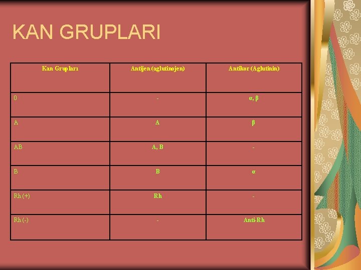 KAN GRUPLARI Kan Grupları Antijen (aglutinojen) Antikor (Aglutinin) 0 - α, β A A