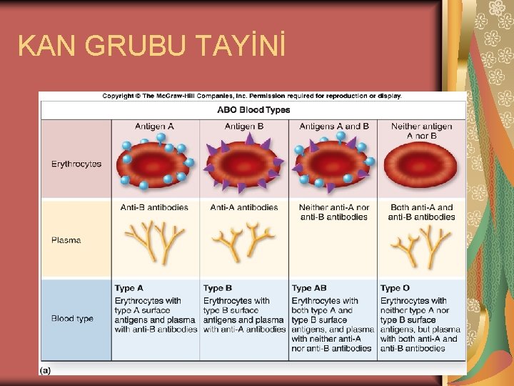 KAN GRUBU TAYİNİ 