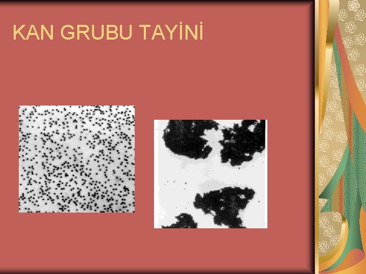 KAN GRUBU TAYİNİ 