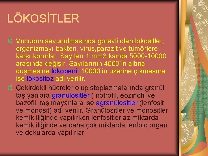 LÖKOSİTLER Vücudun savunulmasında görevli olan lökositler, organizmayı bakteri, virüs, parazit ve tümörlere karşı korurlar.