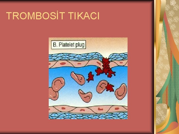 TROMBOSİT TIKACI 