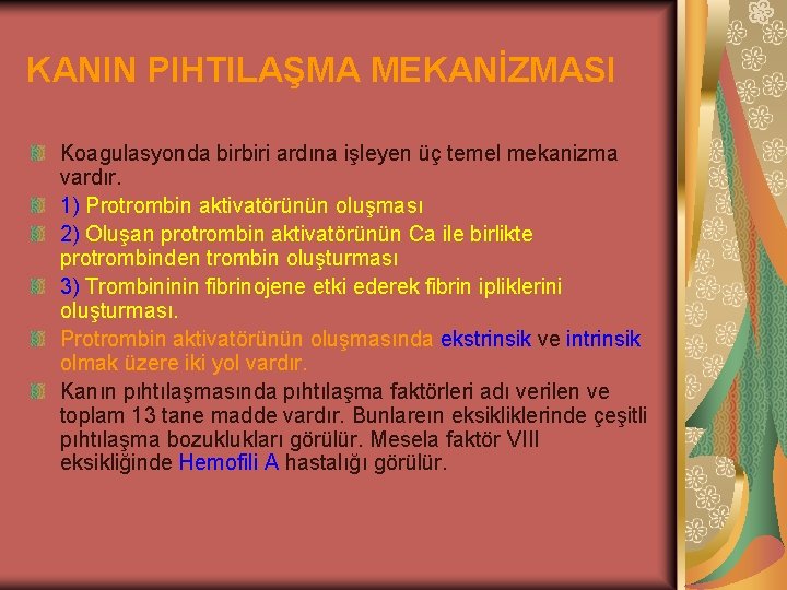 KANIN PIHTILAŞMA MEKANİZMASI Koagulasyonda birbiri ardına işleyen üç temel mekanizma vardır. 1) Protrombin aktivatörünün