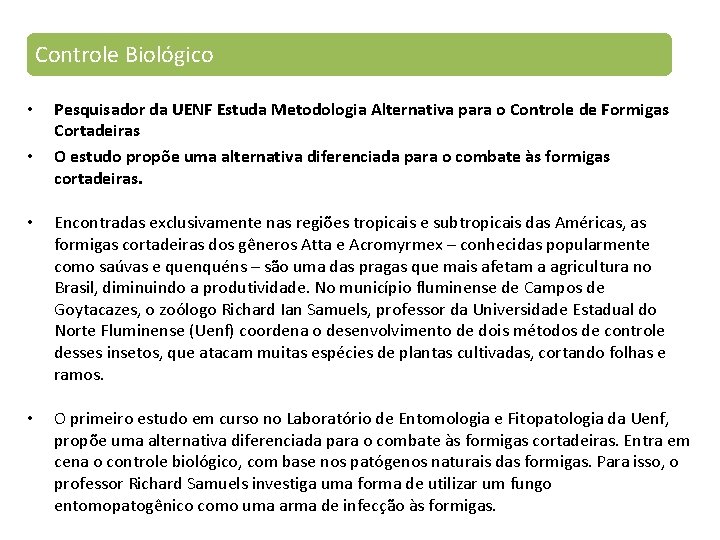 Controle Biológico • • Pesquisador da UENF Estuda Metodologia Alternativa para o Controle de