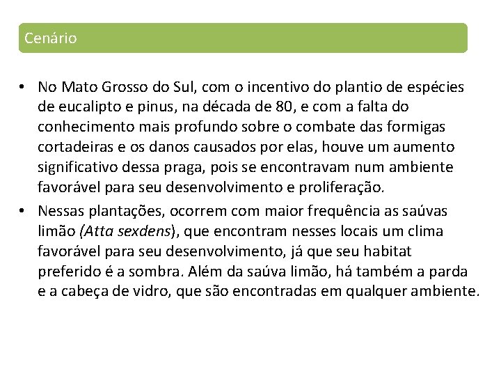 Cenário • No Mato Grosso do Sul, com o incentivo do plantio de espécies