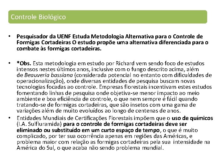 Controle Biológico • Pesquisador da UENF Estuda Metodologia Alternativa para o Controle de Formigas