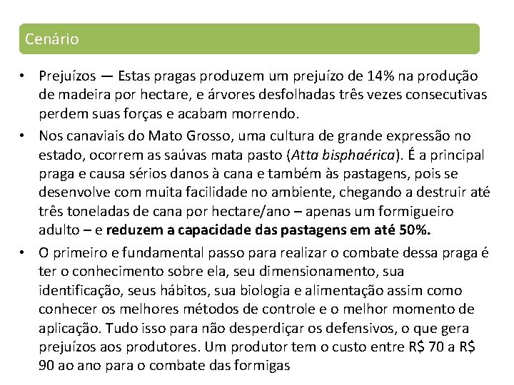 Cenário • Prejuízos — Estas pragas produzem um prejuízo de 14% na produção de