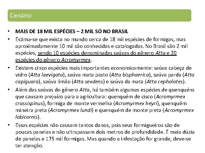 Cenário • MAIS DE 18 MIL ESPÉCIES – 2 MIL SÓ NO BRASIL •