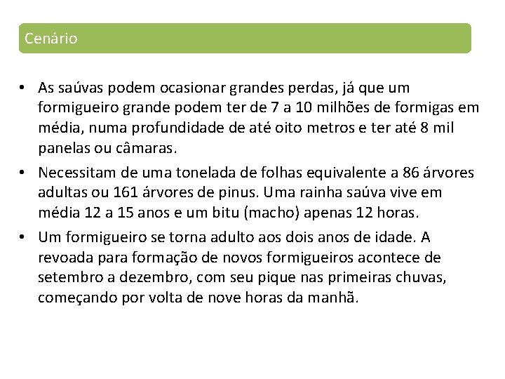 Cenário • As saúvas podem ocasionar grandes perdas, já que um formigueiro grande podem