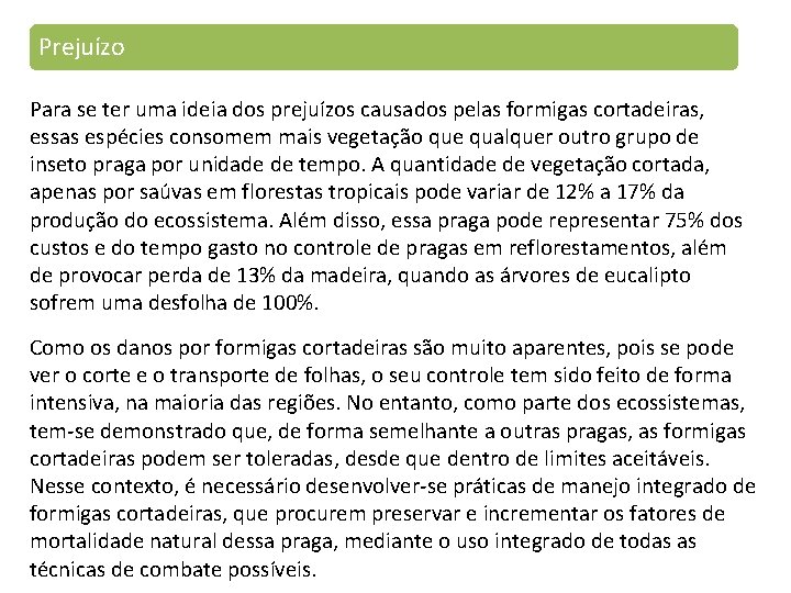 Prejuízo Para se ter uma ideia dos prejuízos causados pelas formigas cortadeiras, essas espécies