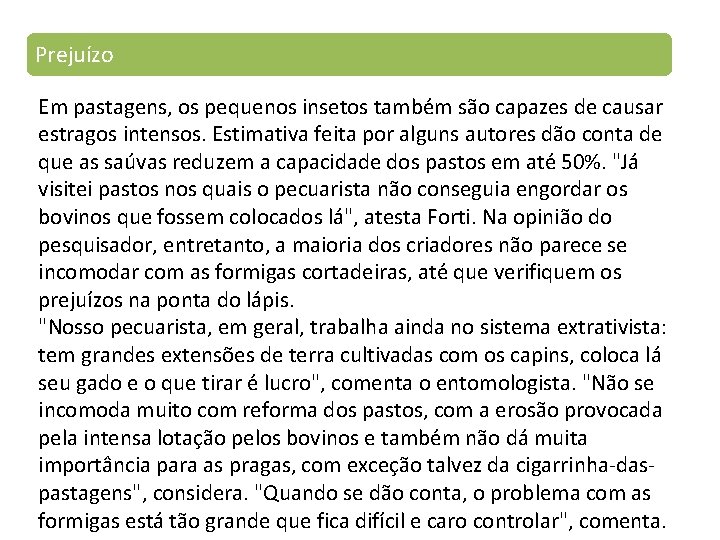 Prejuízo Em pastagens, os pequenos insetos também são capazes de causar estragos intensos. Estimativa