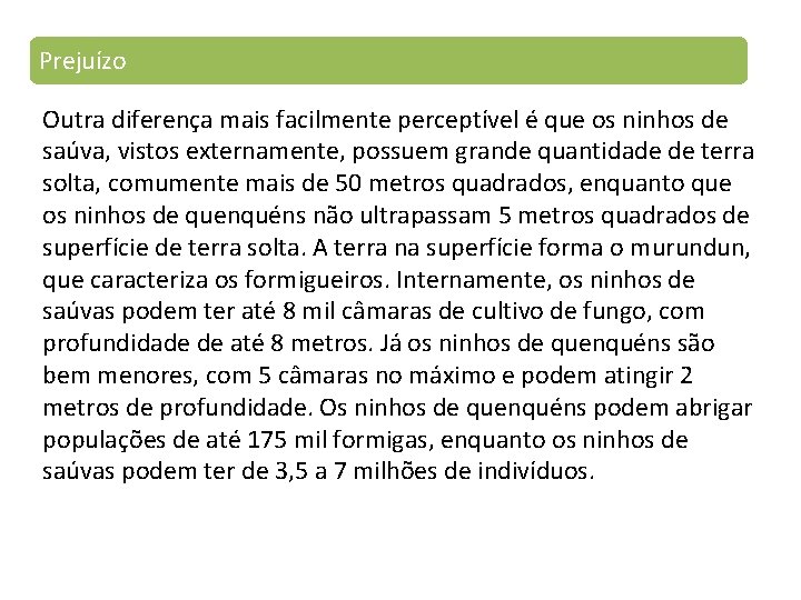 Prejuízo Outra diferença mais facilmente perceptível é que os ninhos de saúva, vistos externamente,