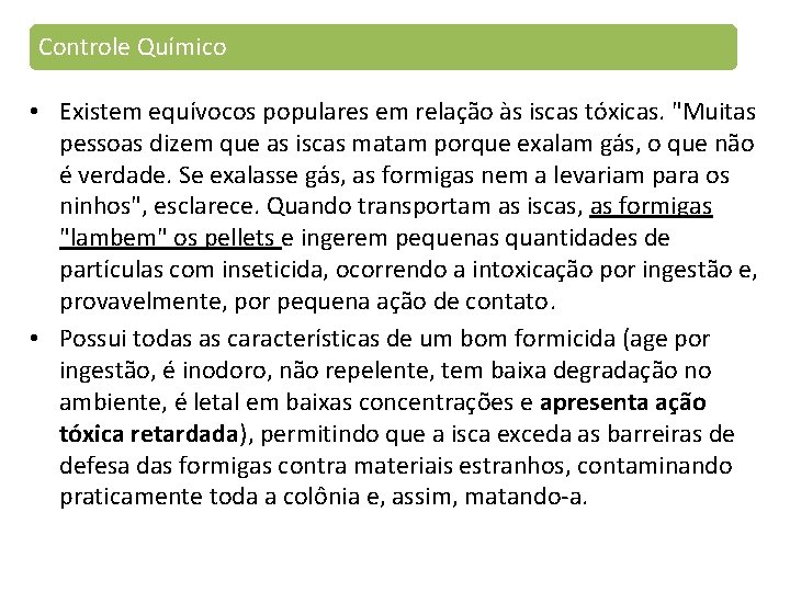 Controle Químico • Existem equívocos populares em relação às iscas tóxicas. "Muitas pessoas dizem