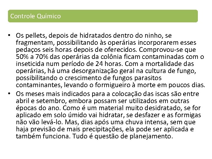 Controle Químico • Os pellets, depois de hidratados dentro do ninho, se fragmentam, possibilitando