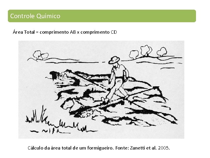 Controle Químico Área Total = comprimento AB x comprimento CD Cálculo da área total