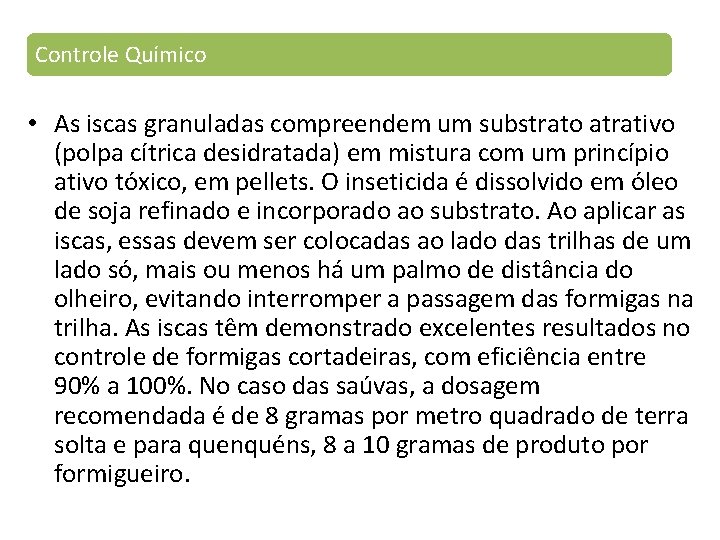 Controle Químico • As iscas granuladas compreendem um substrato atrativo (polpa cítrica desidratada) em