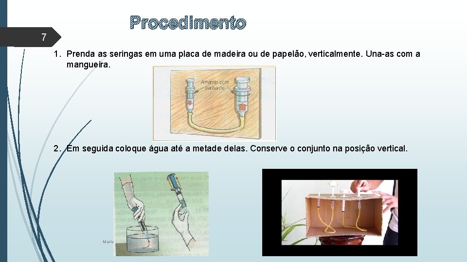 Procedimento 7 1. Prenda as seringas em uma placa de madeira ou de papelão, Procedimento 7 1. Prenda as seringas em uma placa de madeira ou de papelão,