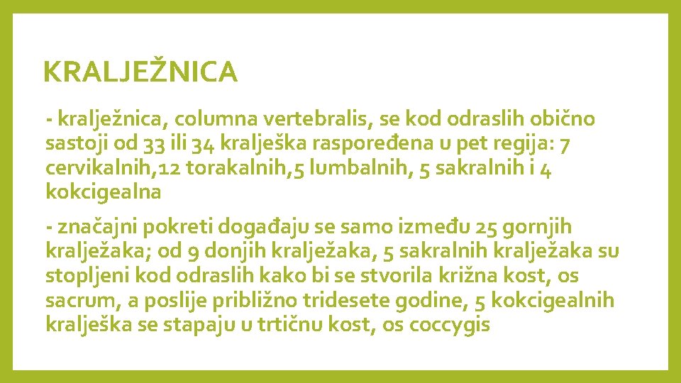 KRALJEŽNICA - kralježnica, columna vertebralis, se kod odraslih obično sastoji od 33 ili 34 KRALJEŽNICA - kralježnica, columna vertebralis, se kod odraslih obično sastoji od 33 ili 34
