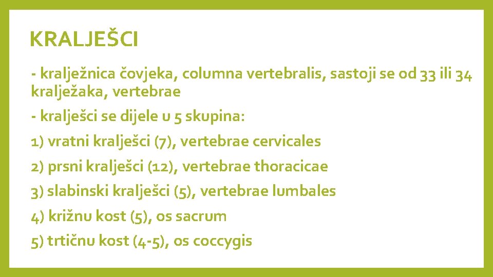KRALJEŠCI - kralježnica čovjeka, columna vertebralis, sastoji se od 33 ili 34 kralježaka, vertebrae KRALJEŠCI - kralježnica čovjeka, columna vertebralis, sastoji se od 33 ili 34 kralježaka, vertebrae