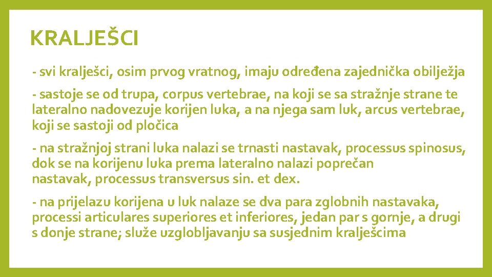 KRALJEŠCI - svi kralješci, osim prvog vratnog, imaju određena zajednička obilježja - sastoje se KRALJEŠCI - svi kralješci, osim prvog vratnog, imaju određena zajednička obilježja - sastoje se