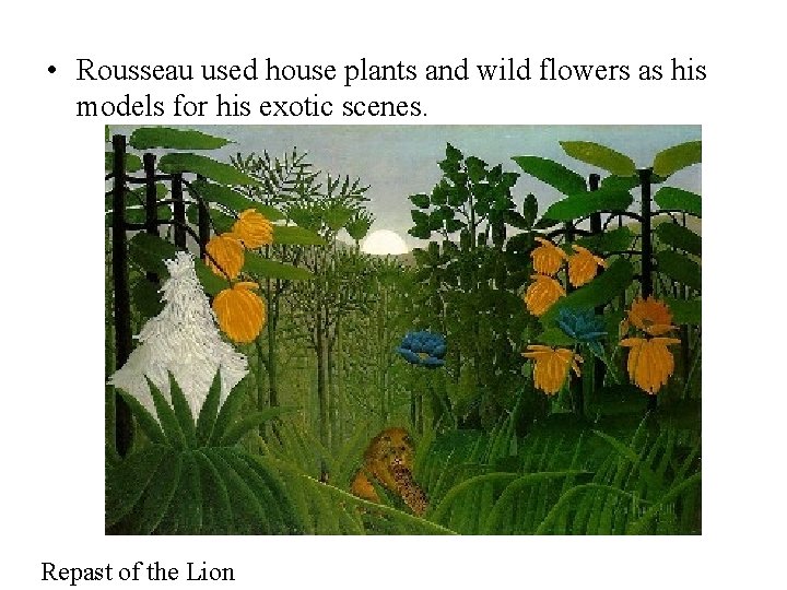  • Rousseau used house plants and wild flowers as his models for his