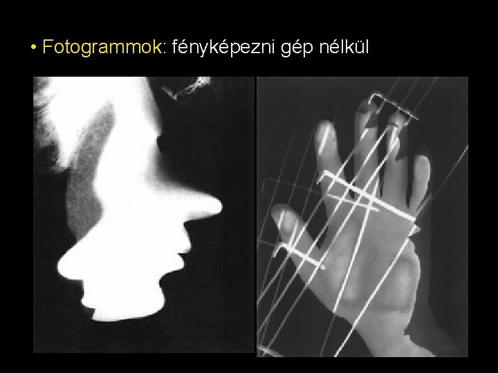 • Fotogrammok: fényképezni gép nélkül • Fotogrammok: fényképezni gép nélkül