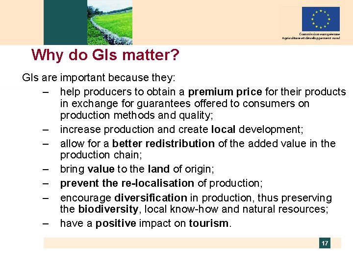 Why do GIs matter? GIs are important because they: – help producers to obtain