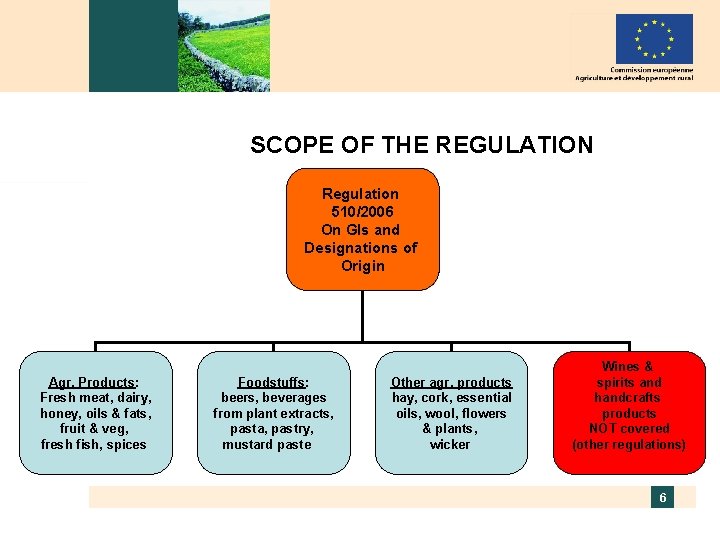 SCOPE OF THE REGULATION Regulation 510/2006 On GIs and Designations of Origin Agr. Products: