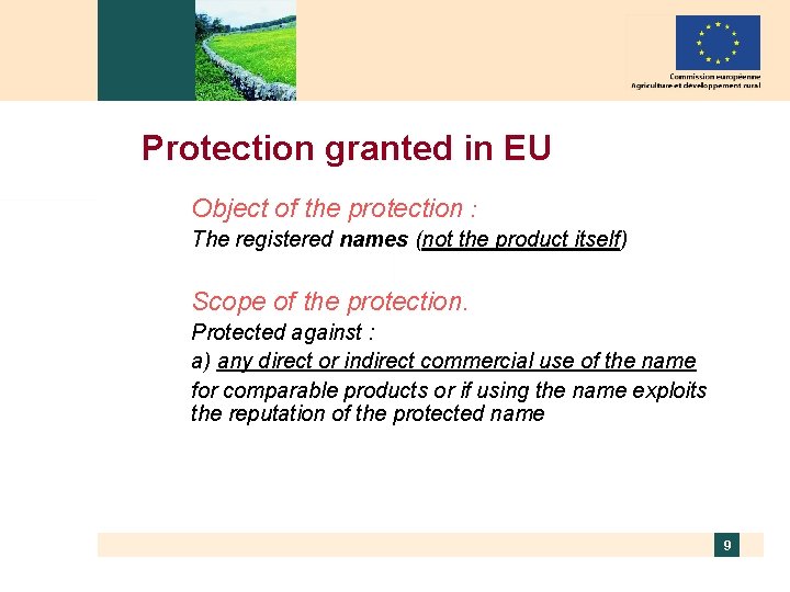 Protection granted in EU Object of the protection : The registered names (not the