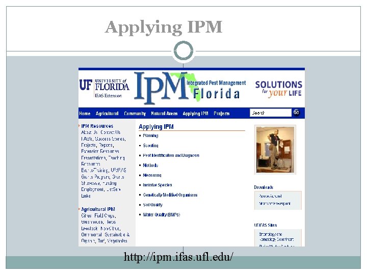 Applying IPM http: //ipm. ifas. ufl. edu/ 