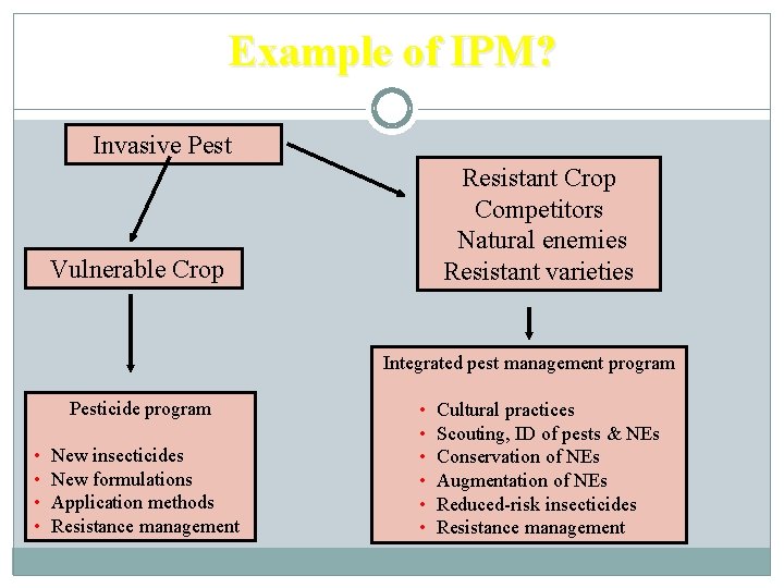 Example of IPM? Invasive Pest Vulnerable Crop Resistant Crop Competitors Natural enemies Resistant varieties