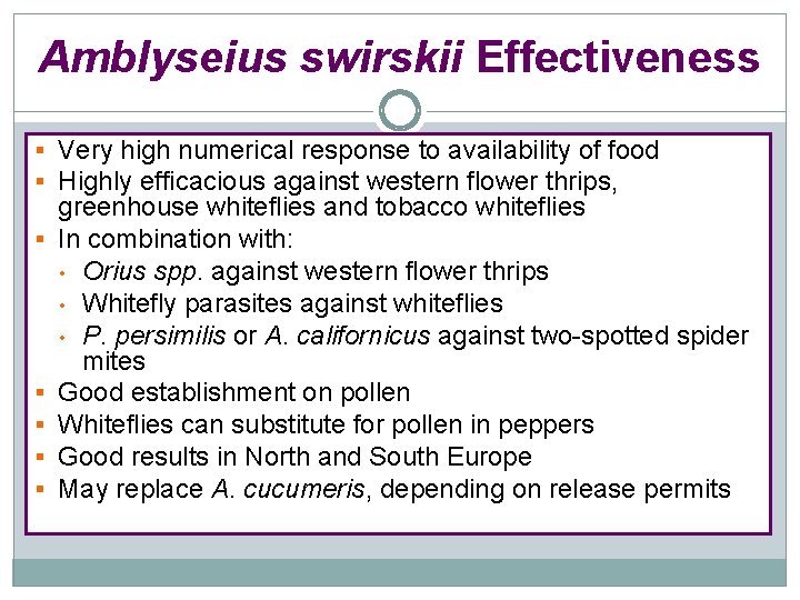 Amblyseius swirskii Effectiveness § Very high numerical response to availability of food § Highly