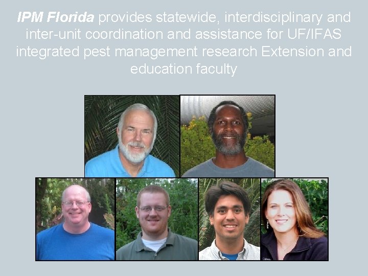 IPM Florida provides statewide, interdisciplinary and inter-unit coordination and assistance for UF/IFAS integrated pest