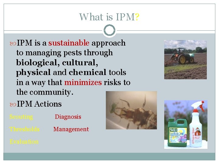 What is IPM? IPM is a sustainable approach to managing pests through biological, cultural,