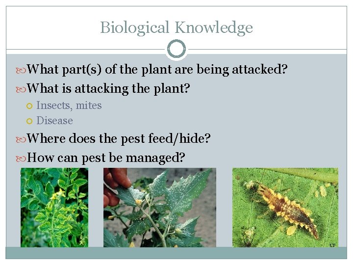Biological Knowledge What part(s) of the plant are being attacked? What is attacking the