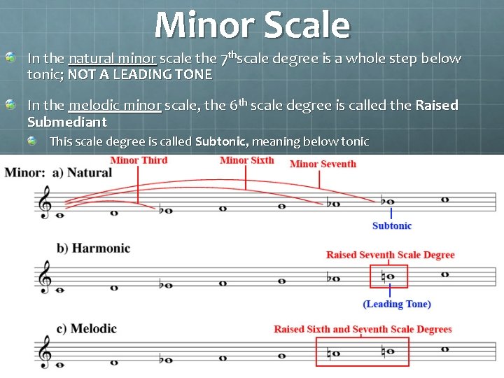 Minor Scale In the natural minor scale the 7 thscale degree is a whole