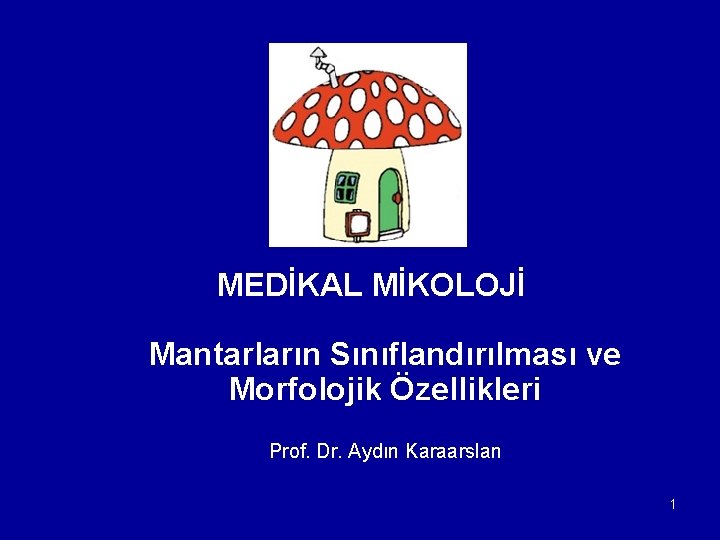 MEDİKAL MİKOLOJİ Mantarların Sınıflandırılması ve Morfolojik Özellikleri Prof. Dr. Aydın Karaarslan 1 