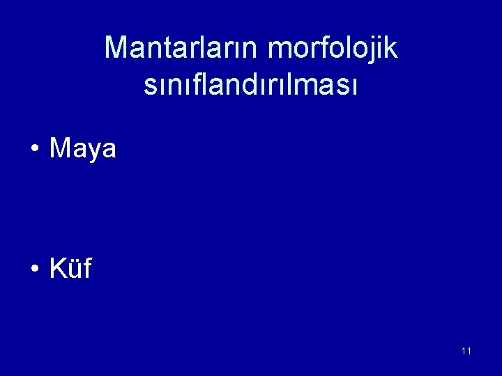Mantarların morfolojik sınıflandırılması • Maya • Küf 11 