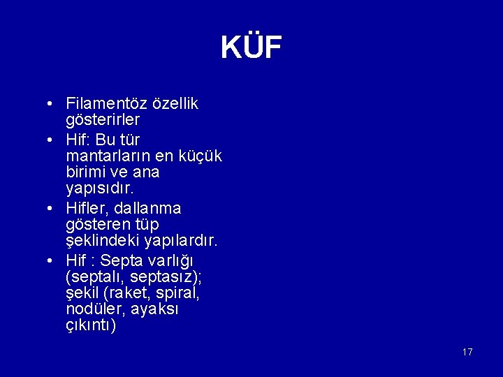 KÜF • Filamentöz özellik gösterirler • Hif: Bu tür mantarların en küçük birimi ve