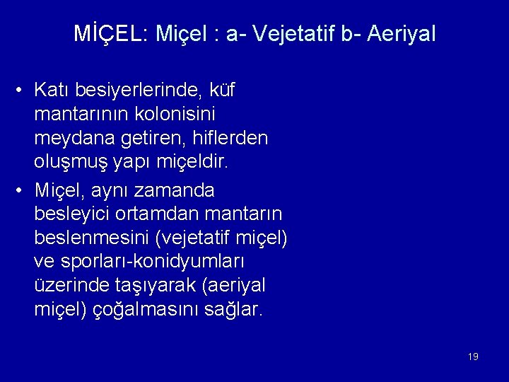 MİÇEL: Miçel : a- Vejetatif b- Aeriyal • Katı besiyerlerinde, küf mantarının kolonisini meydana