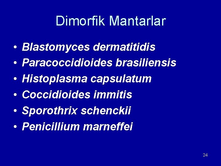 Dimorfik Mantarlar • • • Blastomyces dermatitidis Paracoccidioides brasiliensis Histoplasma capsulatum Coccidioides immitis Sporothrix