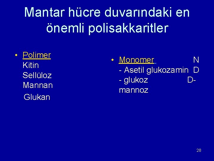 Mantar hücre duvarındaki en önemli polisakkaritler • Polimer Kitin Sellüloz Mannan Glukan • Monomer